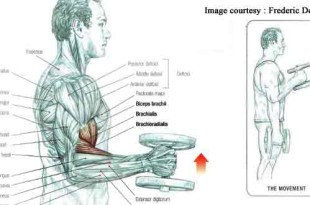 How to do dumbbell hammer curl in hindi