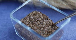 Flax seeds| अलसी उर्फ तीसी के लाभ और साइड इफेक्ट