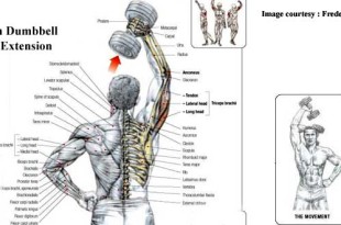 triceps-workout-in-hindi