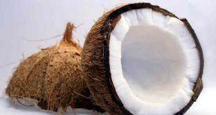 Role of coconut oil in bodybuilding hindi