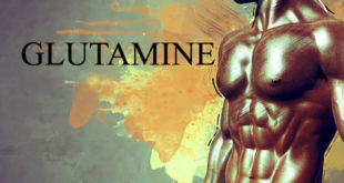 ग्लूटामाइन (Glutamine) को वर्कआउट के बाद लेना चाहि‍ए। वैसे इसे कब लेना चाहि‍ए, इस बारे में कई तरह की राय लोग देते हैं।